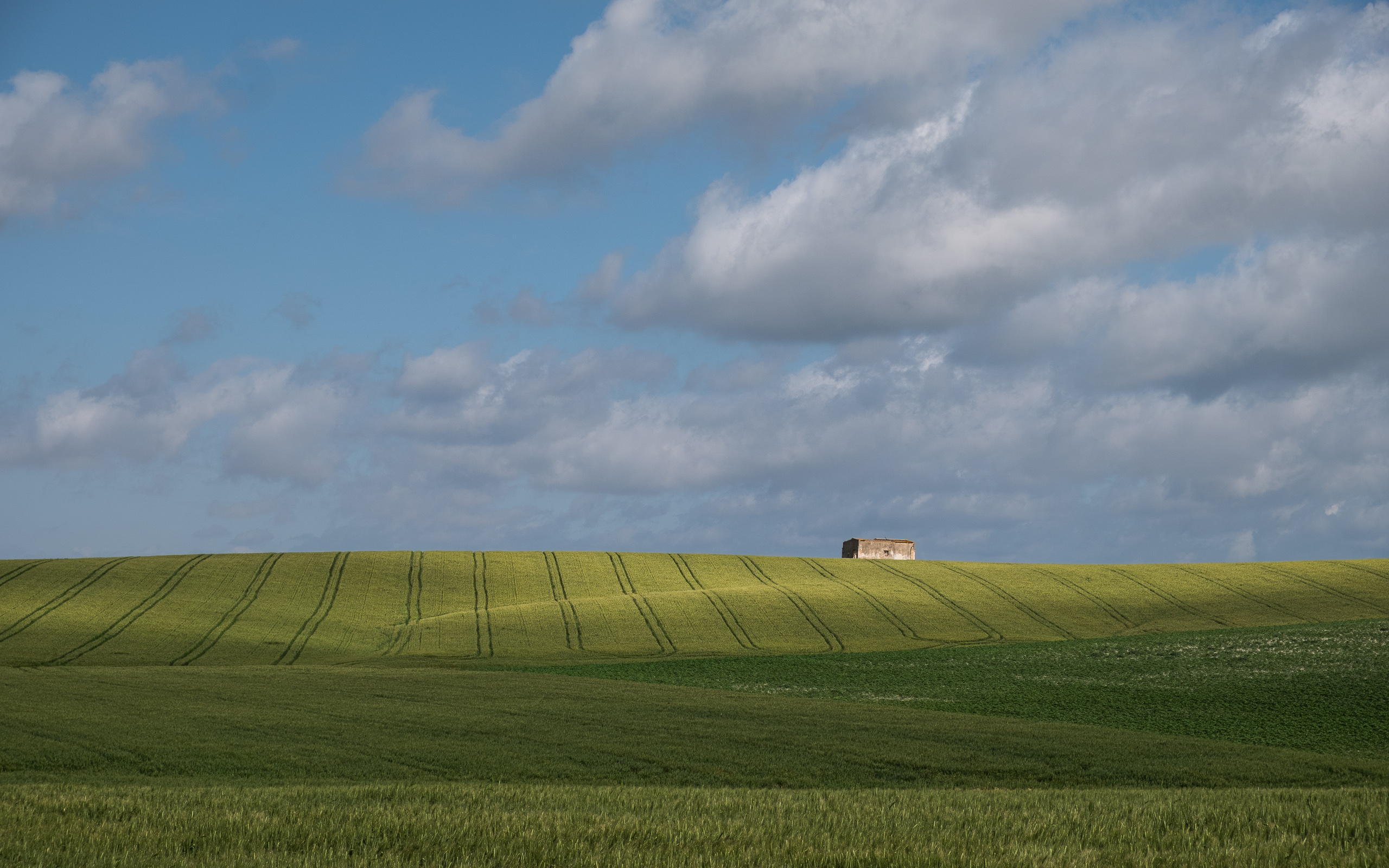 Weitläufige Getreidefelder in der andalusischen Ebene